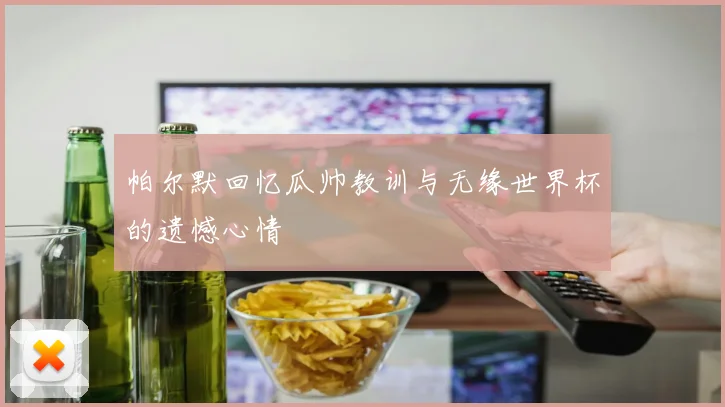 帕尔默回忆瓜帅教训与无缘世界杯的遗憾心情
